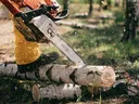 Chainsawing