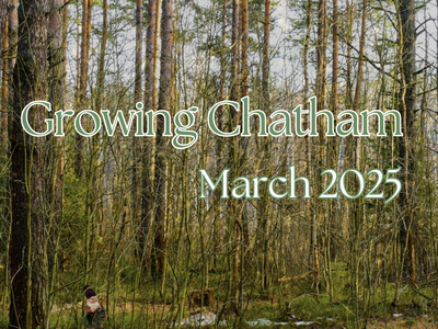 Forest with overlaid text Growing Chatham March 2025 and small gnome bottom-left