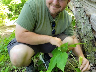 Person crouching in a wooded area examining a green plant near a fallen log