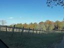 Vineyard
