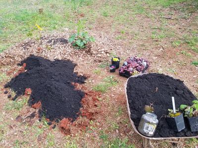 organic matter garden_Photo by Amanda Bratcher