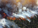 Aerial view of forest wildfire with flames and thick smoke spreading through trees