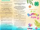 Caswell County 4-H Summer Fun brochure — registration details and contact info