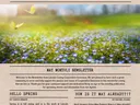 cover page of May 2025 Newsletter