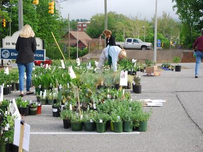 People selecting plants to purchase