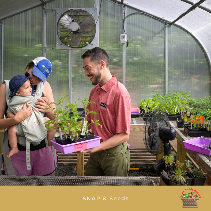 And man shows a child sprouts.