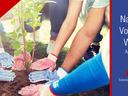 Gloved hands planting a sapling; text: "National Volunteer Week April 20–26, 2025"