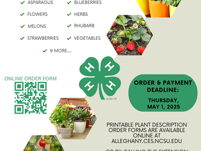 Plant Sale Order Form