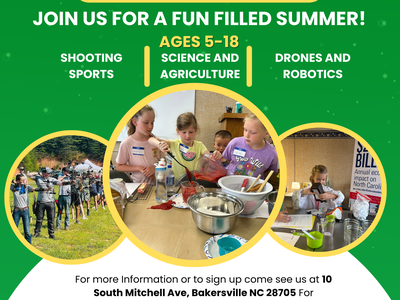summer fun flyer