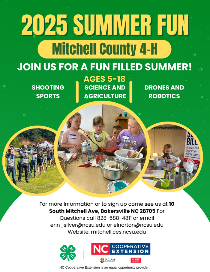 summer fun flyer