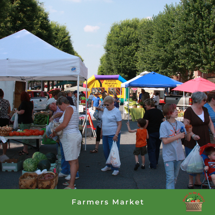 Attendees at Farmers Market Shopping for Food