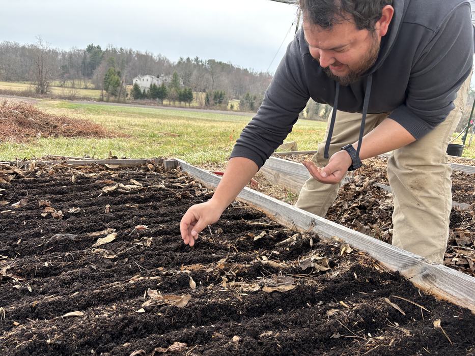 a man sowing seeds by hand in a raised bed