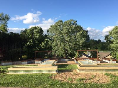 Raised metal garden beds on a grassy slope with a large tree and blue sky