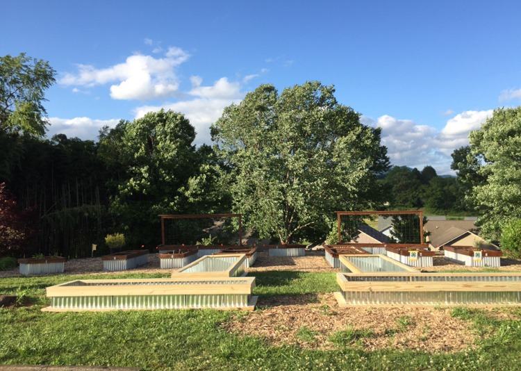 Raised beds in a garden.