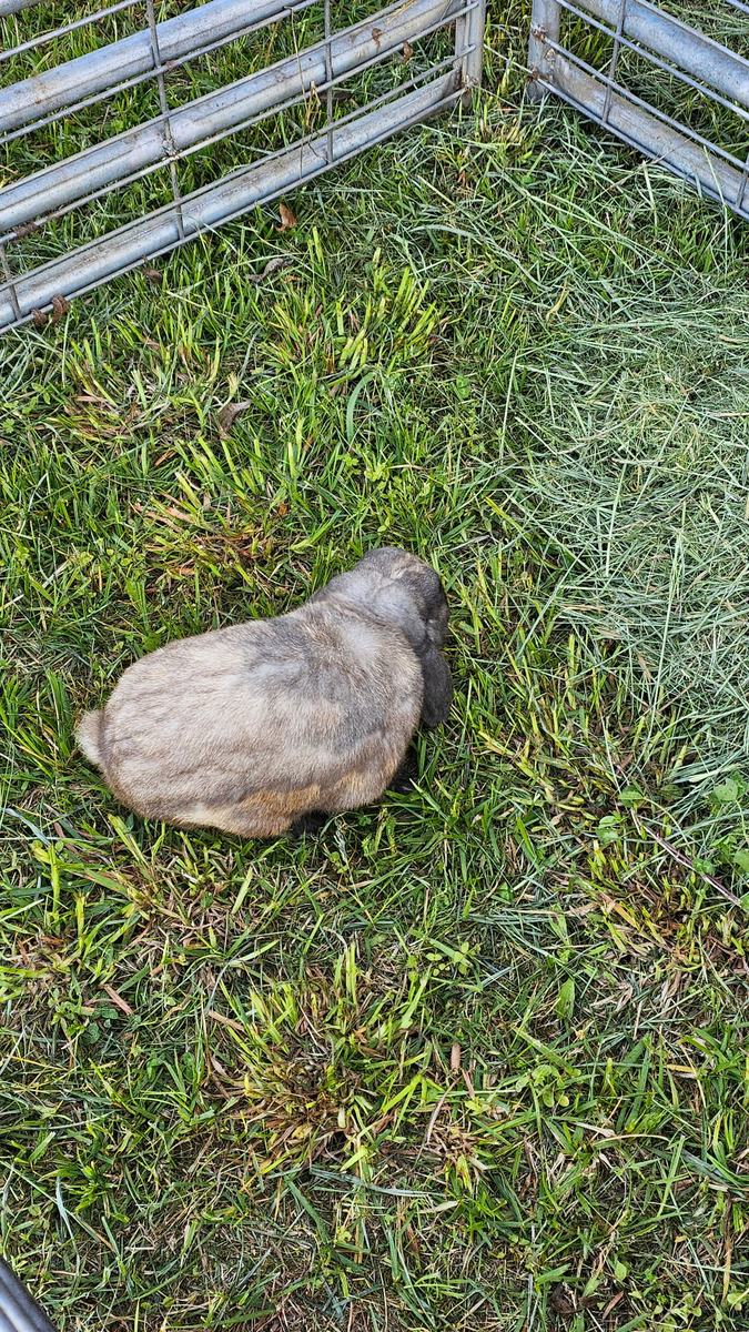 width="109" height="183"