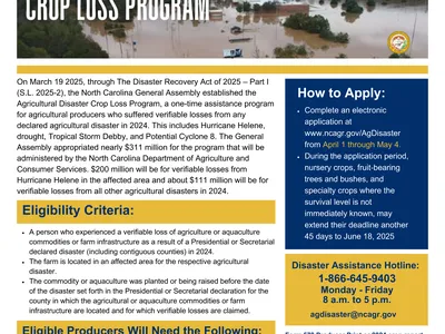 flyer about applying for AG Disaster Crop loss program.