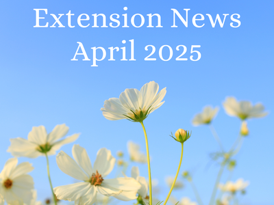 April 2025 Newsletter