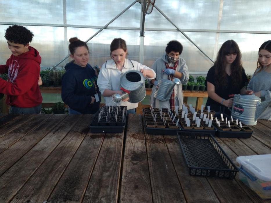 youth growing plants