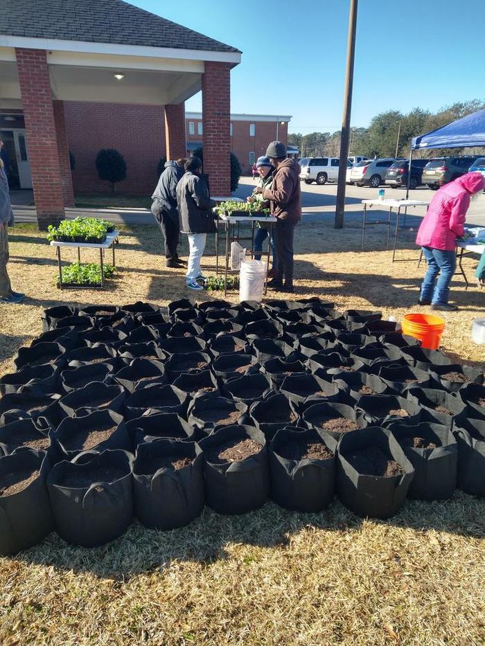 Buckets with seeds