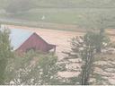Red barn partially submerged by muddy floodwaters amid trees