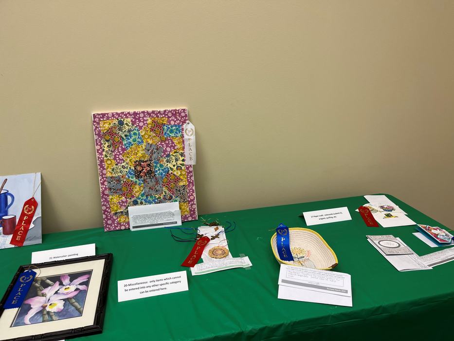 Table displaying craft and art entries with ribbons labeled "PLACE" and category cards