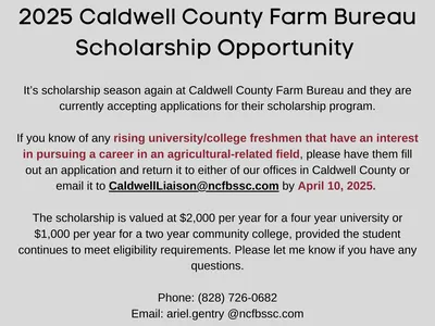 Caldwell County Farm Bureau scholarship flyer with gray background