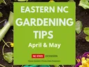 Gardening tools and title of article