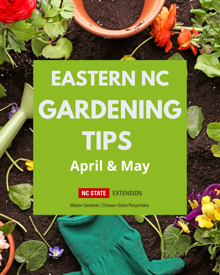 Gardening tools and title of article