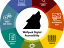 Wolfpack digital accessibility framework