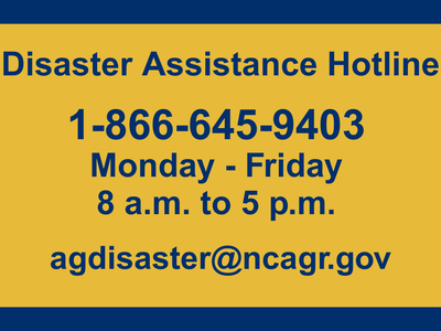 Disaster Assistance Hotline