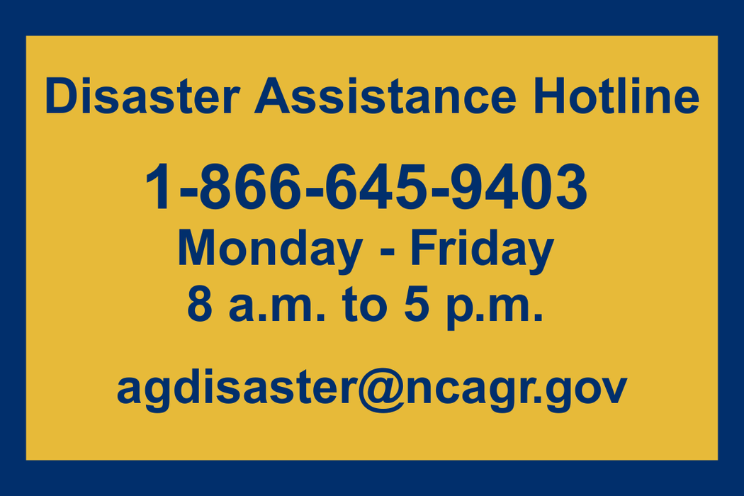 disaster assistance hotline info flyer