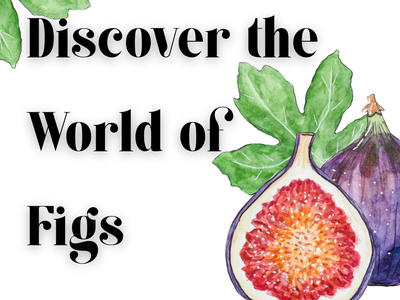 Discover the World of Figs with watercolor illustration of whole and halved figs and leaves