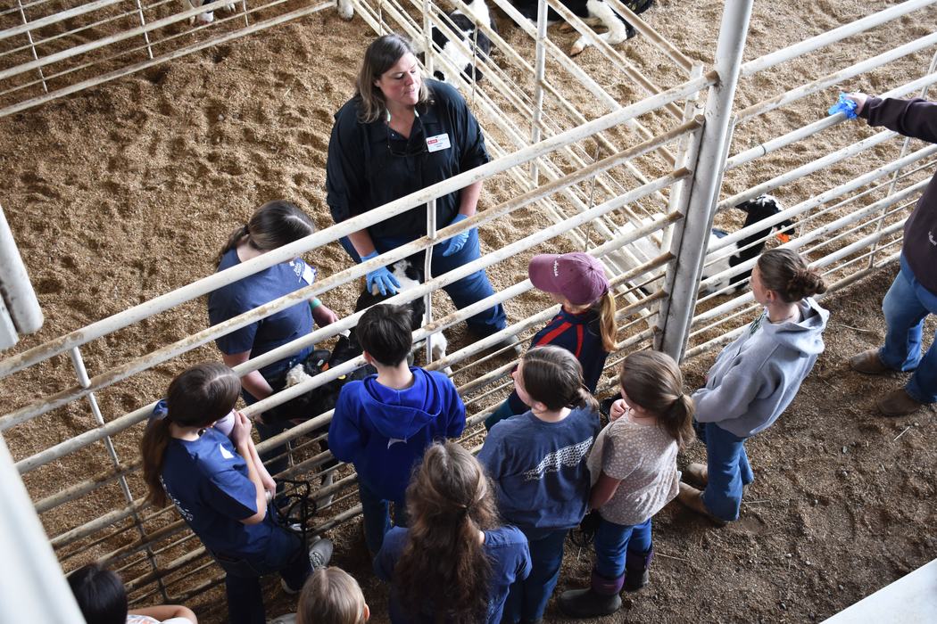 Dr. Stephanie Ward, NC Extension Dairy Specialist, provides a hands on demonstration of proper calf care. 