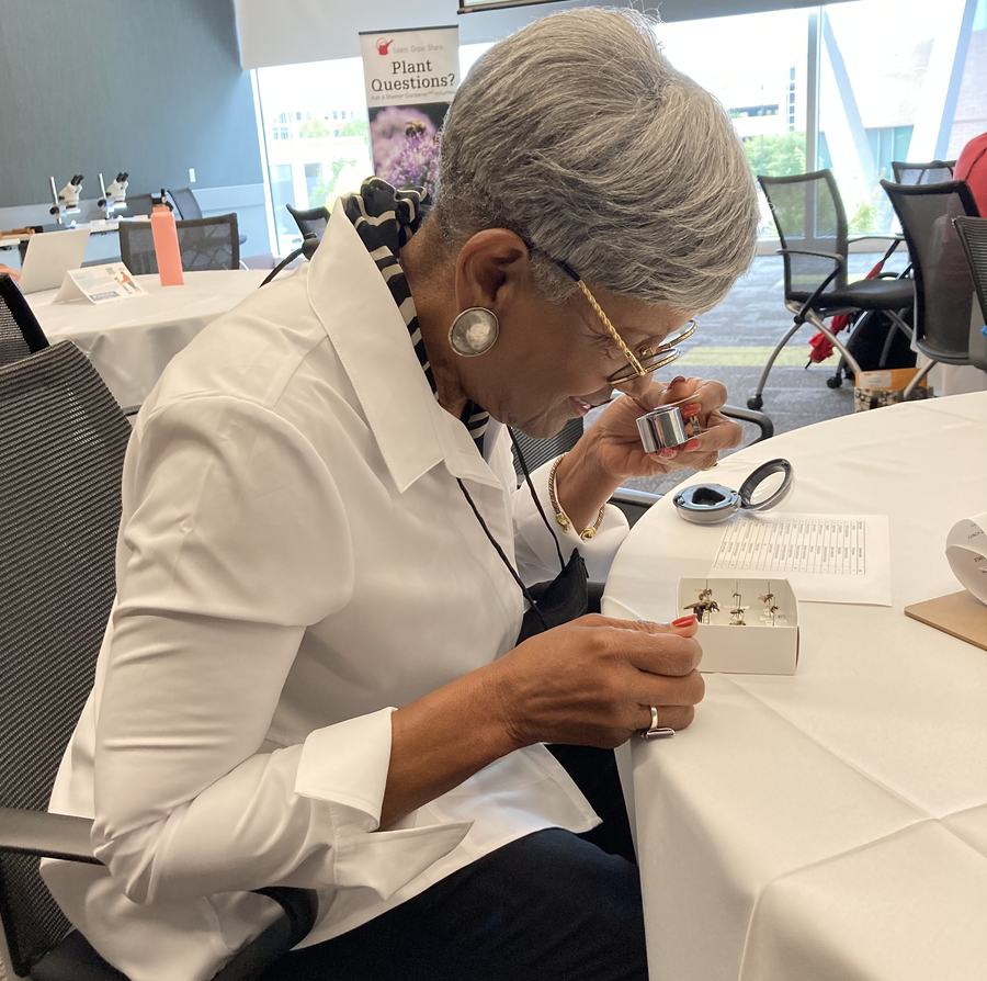 A seated woman leans over a table and uses a magnifying glass to study bee samples.