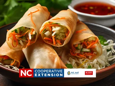 egg rolls and lumpia rolls.