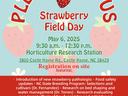 Strawberry Field Day — May 6, 2025, 9:30 a.m.–12:30 p.m.
