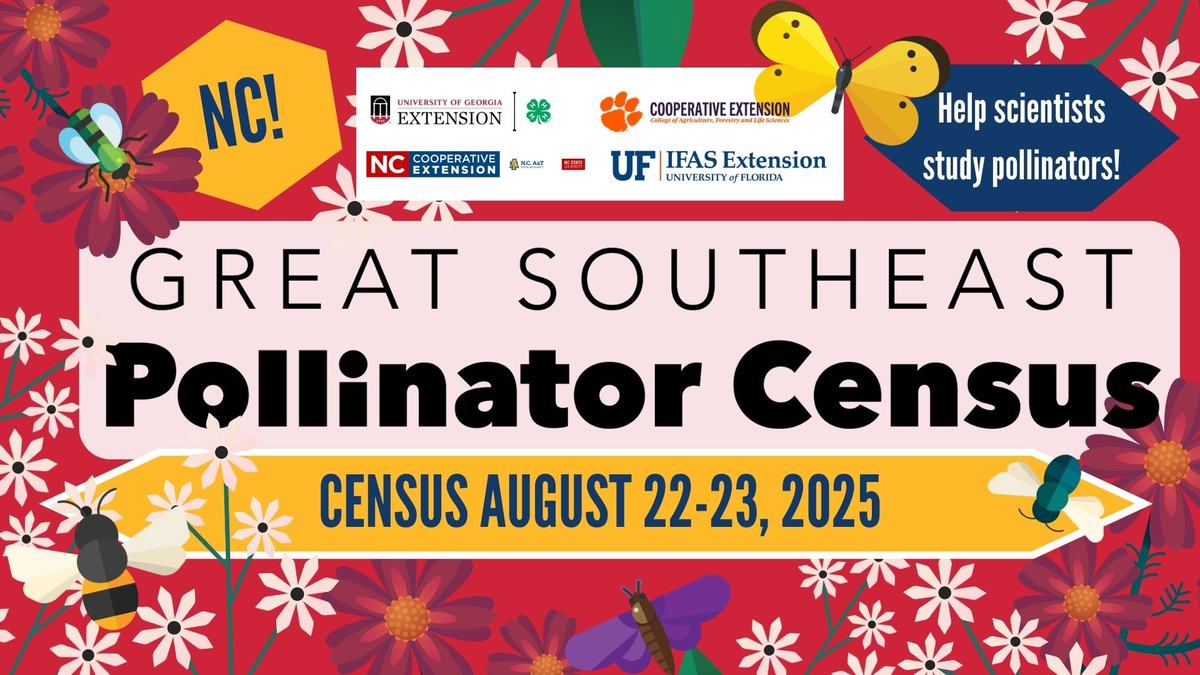 Colorful save the date announcement for the 2025 great southeastern pollinator census