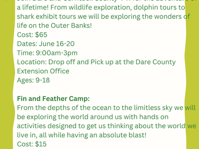 Dare County 4-H Summer Adventures flyer listing camp names, dates, costs, times, and ages