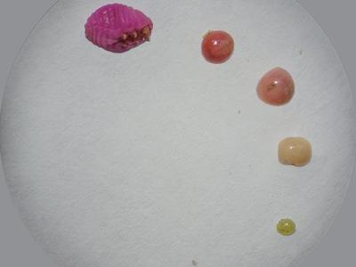 Ground pearl cysts and adult D. S. Reiland