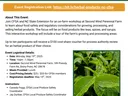 Growing and Selling Herbal Products NC