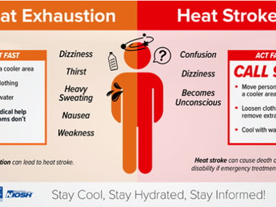 An inforgraphic showing the difference between Heat Exhaustion and Heat Stroke. The biggest difference is that Heat Stroke includes confusion and dizziness, it necessitates calling 911.