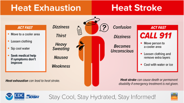An inforgraphic showing the difference between Heat Exhaustion and Heat Stroke. The biggest difference is that Heat Stroke includes confusion and dizziness, it necessitates calling 911.
