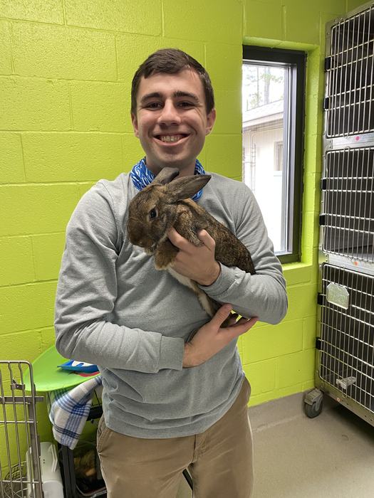 Person holding brown rabbit in a lime-green walled animal shelter room
