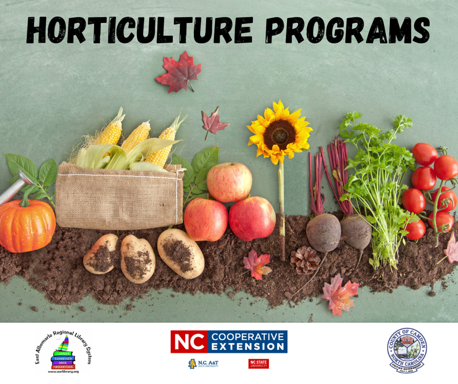 HORTICULTURE PROGRAMS — vegetables, sunflower, apples and corn arranged on soil