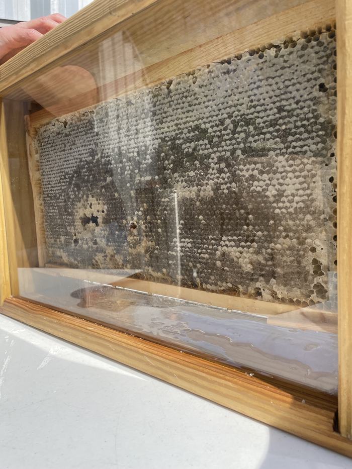 A box containing honeycomb.