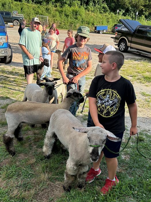 Market Lamb Program