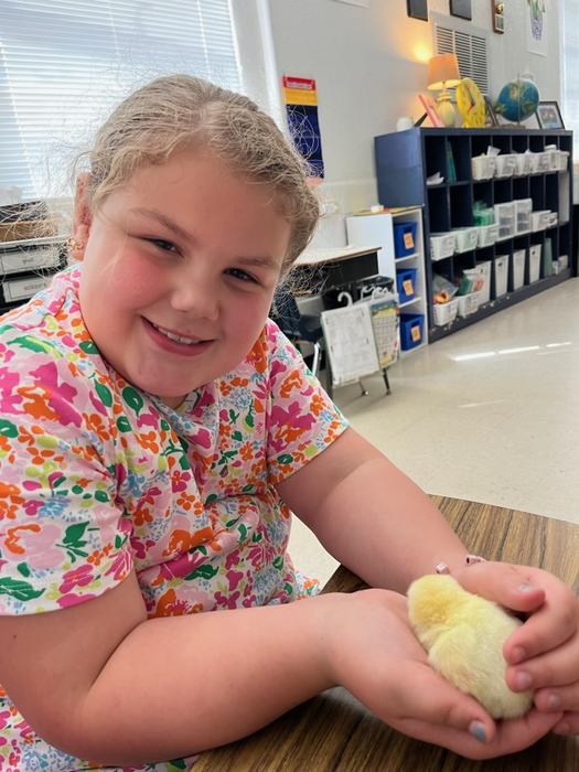 A girl holds a chick in her hands.