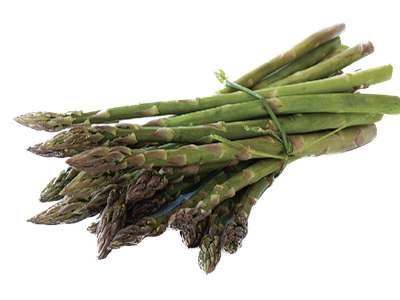 Bundle of green asparagus spears tied with a green twist tie