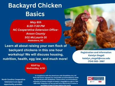 chicken workshop flyer