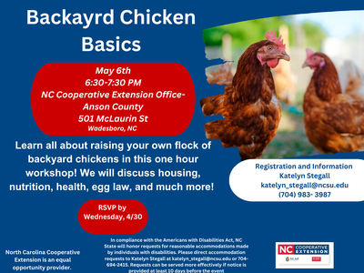 chicken workshop flyer